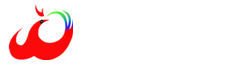 「深圳优化网」